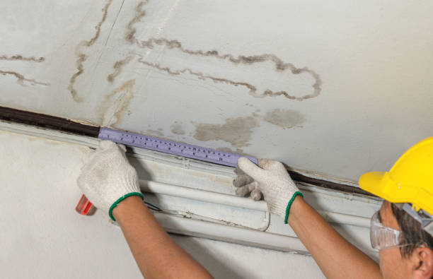 Reliable Water Damage Repair contractor in Kingston, MA by Hirex Water Damage